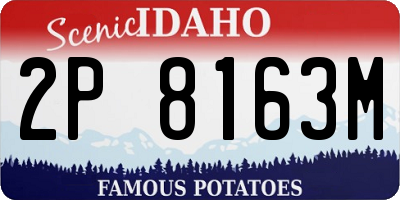 ID license plate 2P8163M