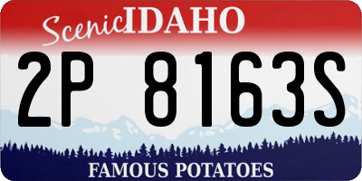 ID license plate 2P8163S