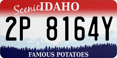ID license plate 2P8164Y