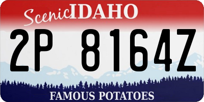 ID license plate 2P8164Z