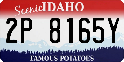 ID license plate 2P8165Y