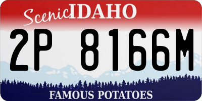 ID license plate 2P8166M