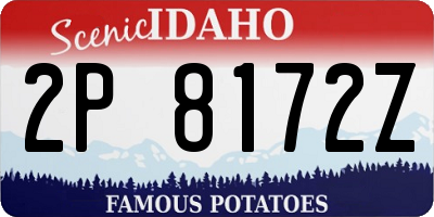 ID license plate 2P8172Z