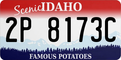 ID license plate 2P8173C