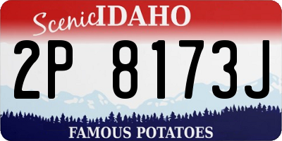 ID license plate 2P8173J