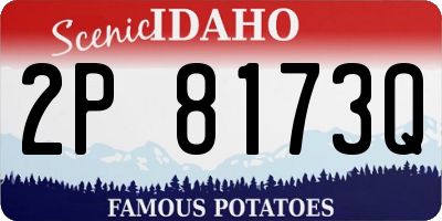 ID license plate 2P8173Q