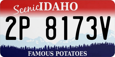 ID license plate 2P8173V