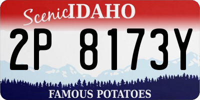 ID license plate 2P8173Y