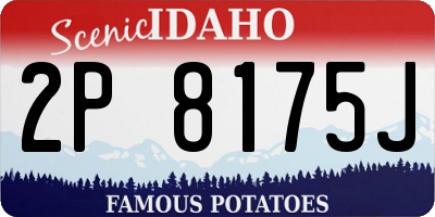 ID license plate 2P8175J