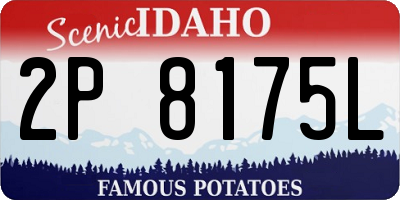 ID license plate 2P8175L