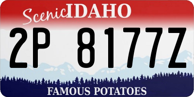 ID license plate 2P8177Z