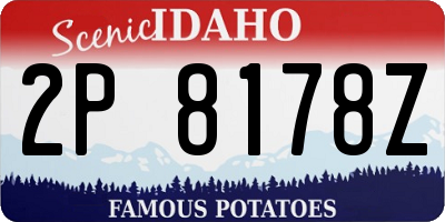 ID license plate 2P8178Z