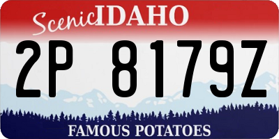 ID license plate 2P8179Z