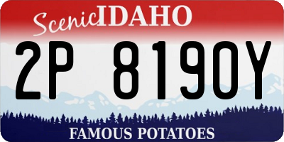 ID license plate 2P8190Y