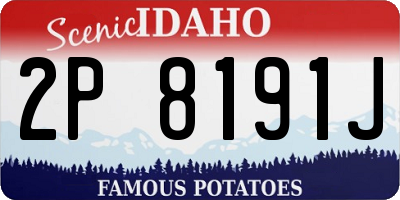 ID license plate 2P8191J
