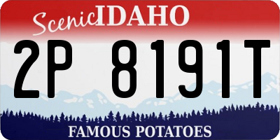 ID license plate 2P8191T