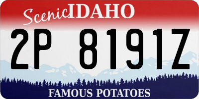 ID license plate 2P8191Z