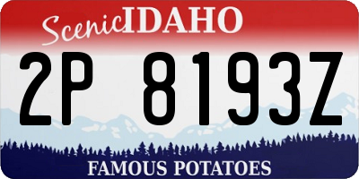 ID license plate 2P8193Z