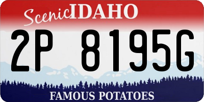 ID license plate 2P8195G