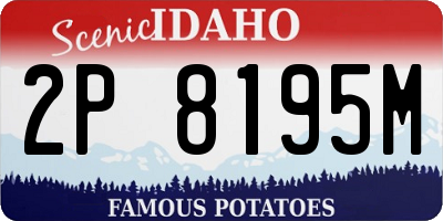 ID license plate 2P8195M