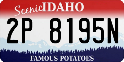 ID license plate 2P8195N