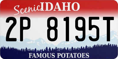 ID license plate 2P8195T