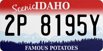 ID license plate 2P8195Y