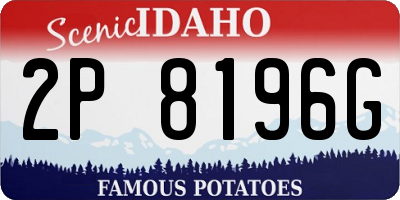 ID license plate 2P8196G