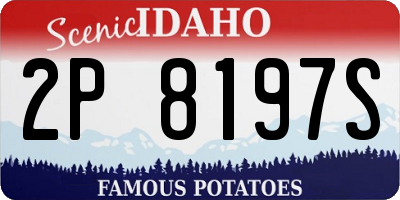 ID license plate 2P8197S