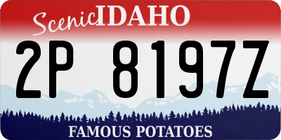 ID license plate 2P8197Z