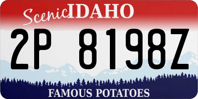 ID license plate 2P8198Z