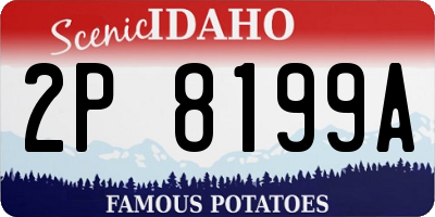 ID license plate 2P8199A