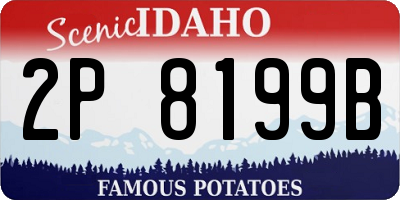 ID license plate 2P8199B