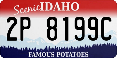 ID license plate 2P8199C
