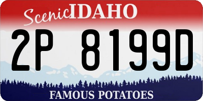 ID license plate 2P8199D