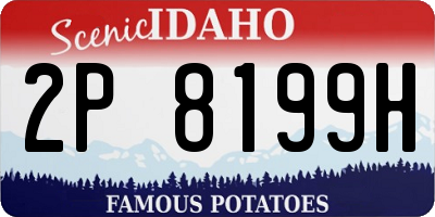 ID license plate 2P8199H