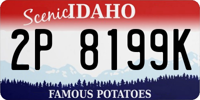 ID license plate 2P8199K
