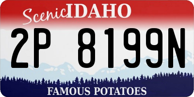 ID license plate 2P8199N