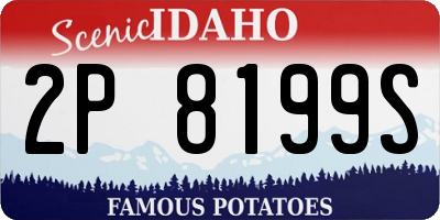 ID license plate 2P8199S