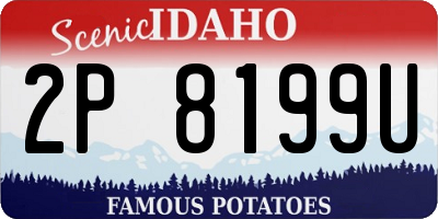 ID license plate 2P8199U