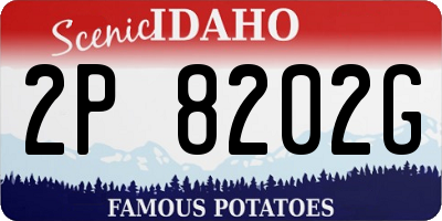 ID license plate 2P8202G