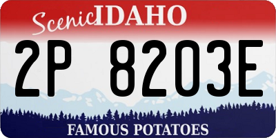 ID license plate 2P8203E