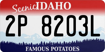 ID license plate 2P8203L