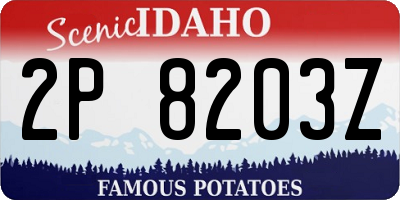 ID license plate 2P8203Z