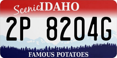 ID license plate 2P8204G