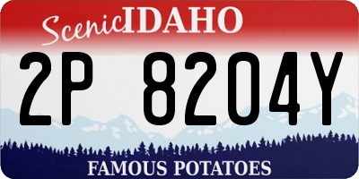 ID license plate 2P8204Y