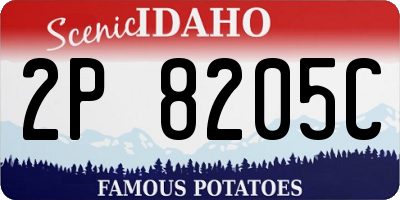 ID license plate 2P8205C