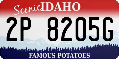 ID license plate 2P8205G
