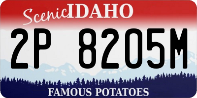 ID license plate 2P8205M