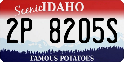ID license plate 2P8205S